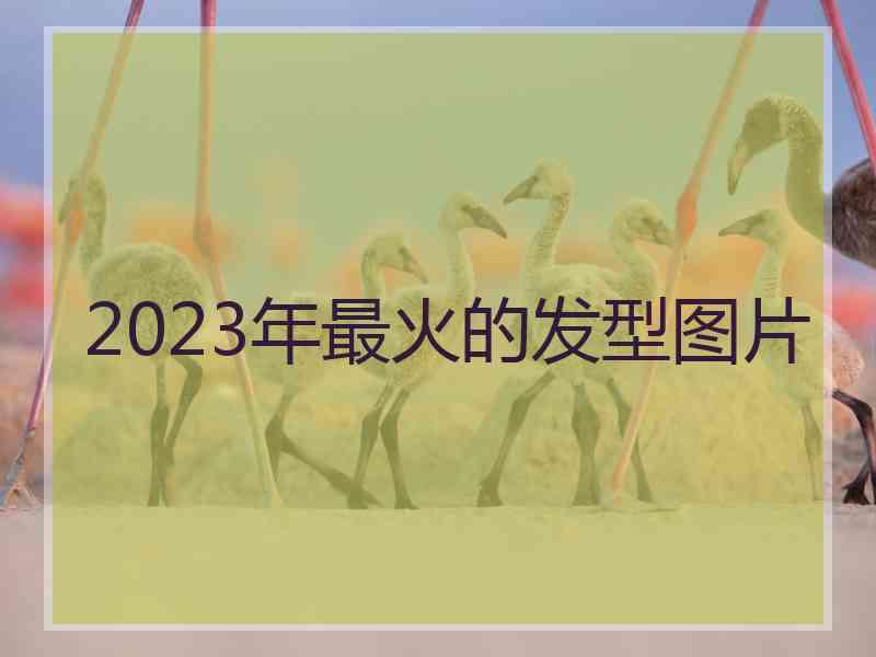 2023年最火的发型图片