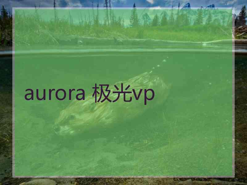 aurora 极光vp