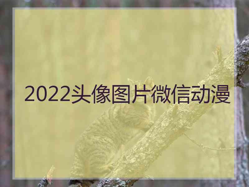 2022头像图片微信动漫