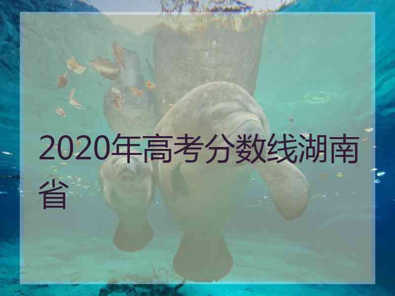 2020年高考分数线湖南省