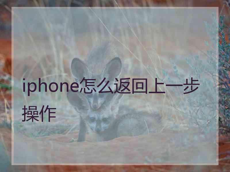 iphone怎么返回上一步操作