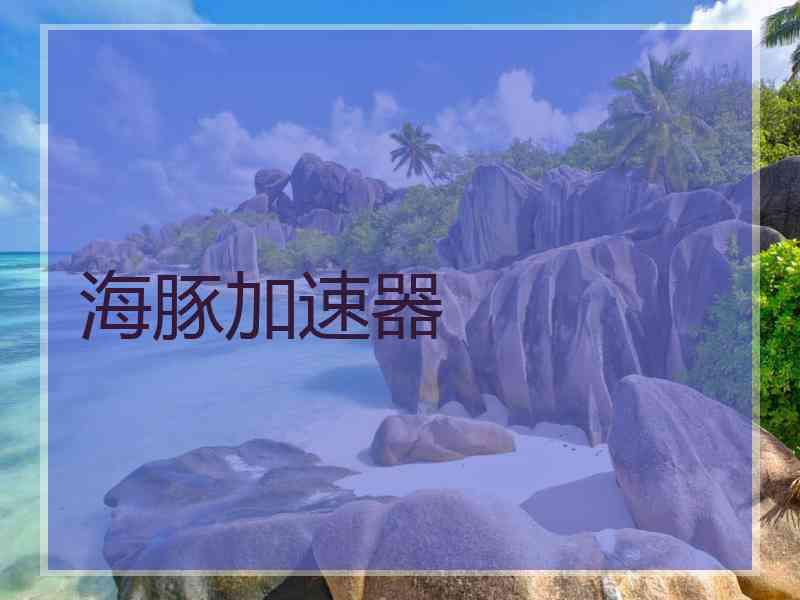 海豚加速器