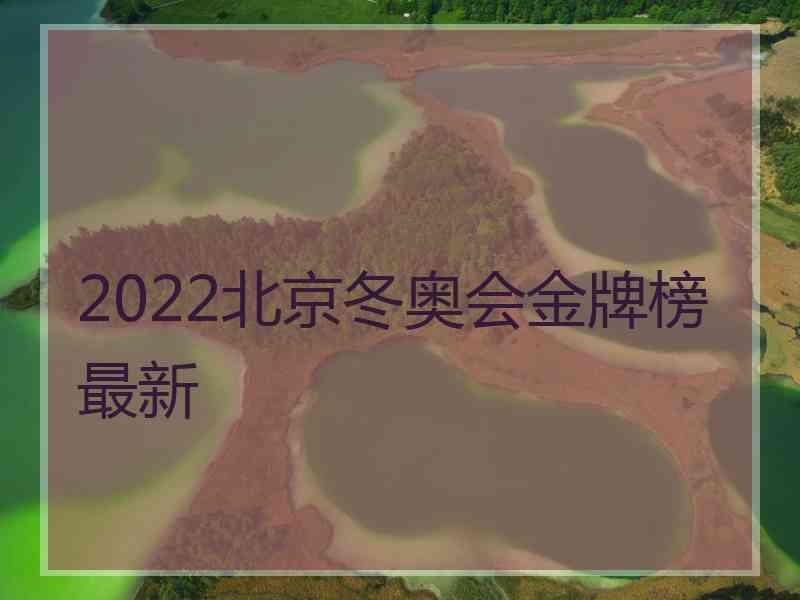 2022北京冬奥会金牌榜最新