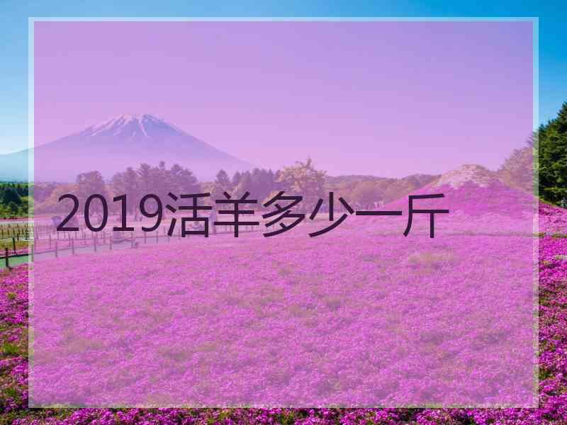 2019活羊多少一斤