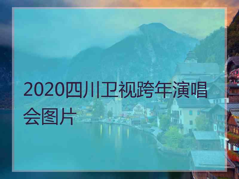 2020四川卫视跨年演唱会图片