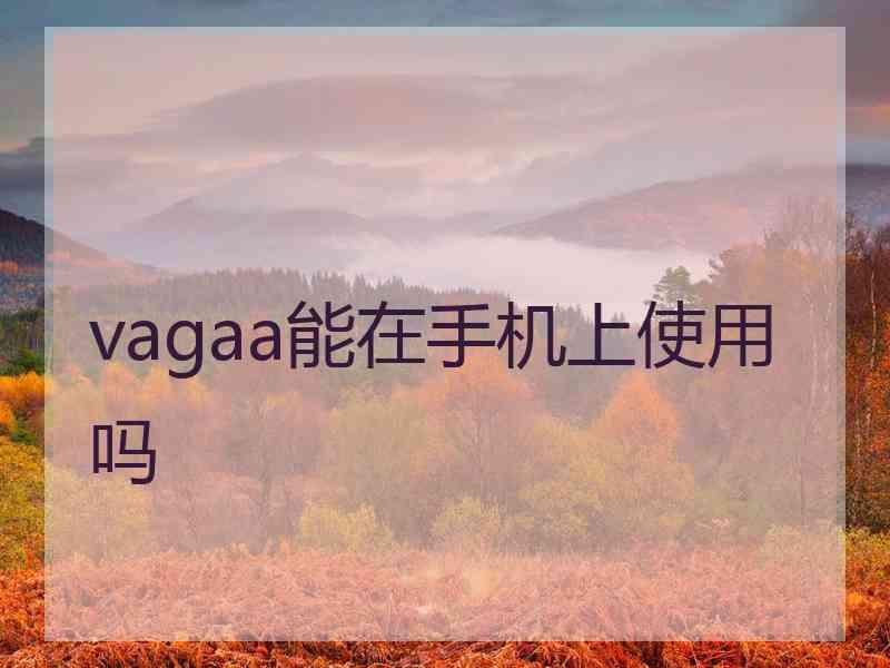 vagaa能在手机上使用吗