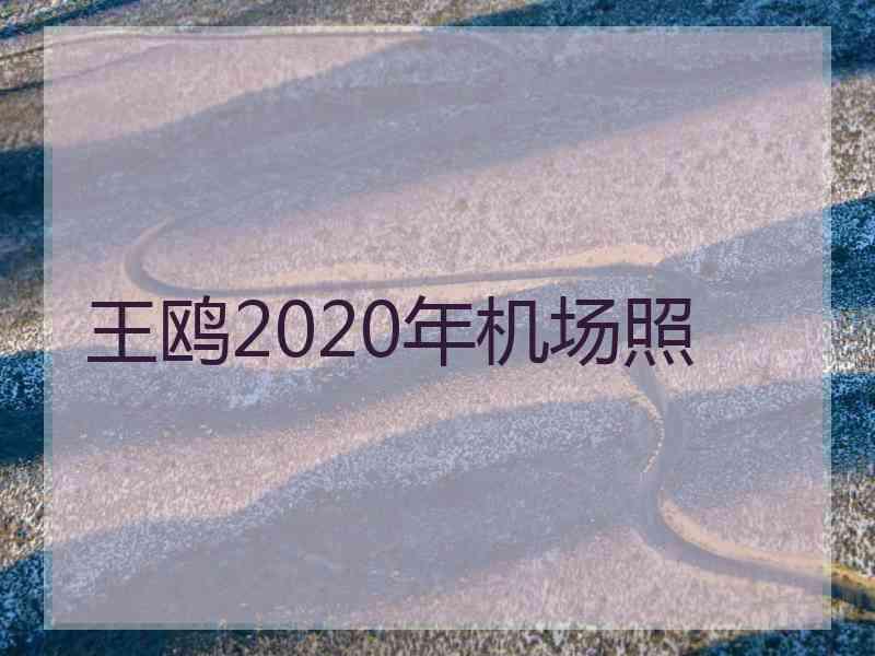 王鸥2020年机场照