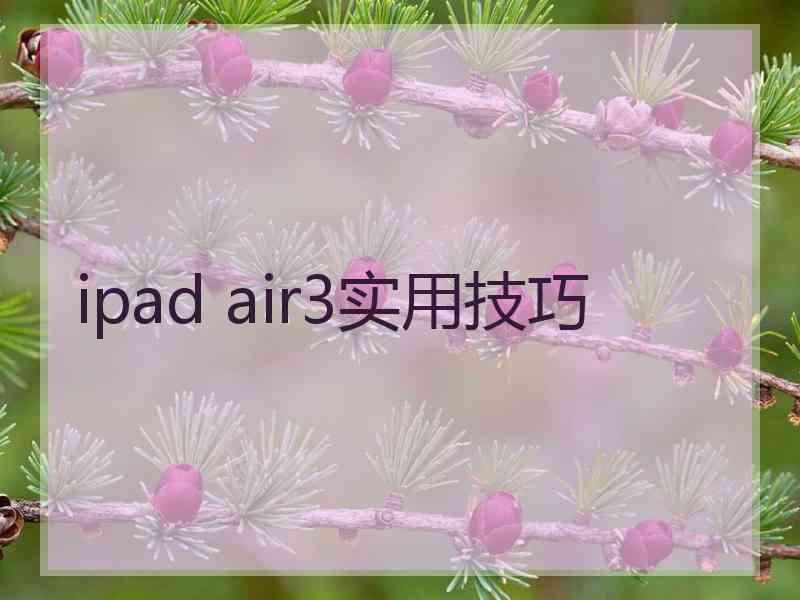 ipad air3实用技巧