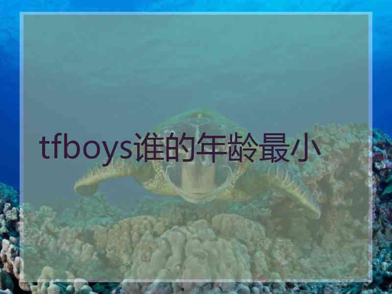 tfboys谁的年龄最小