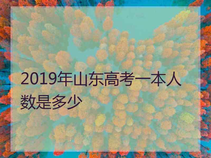 2019年山东高考一本人数是多少