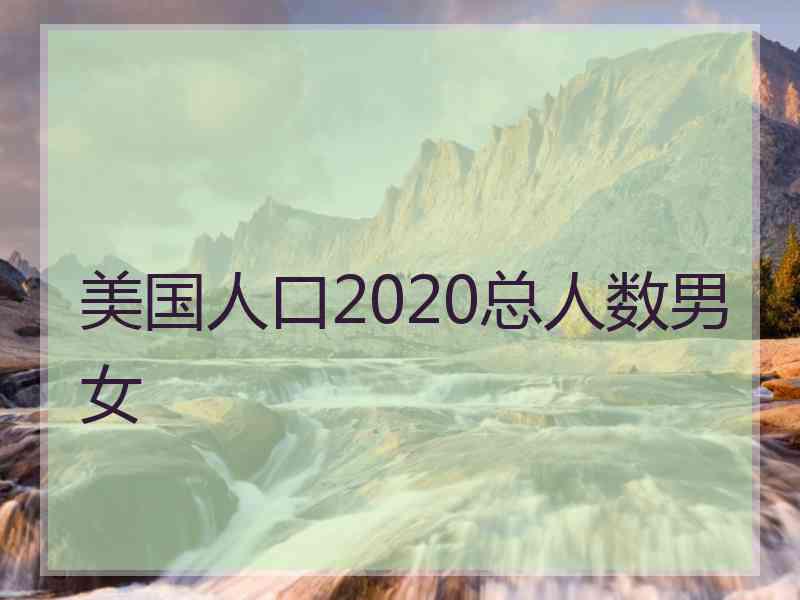 美国人口2020总人数男女