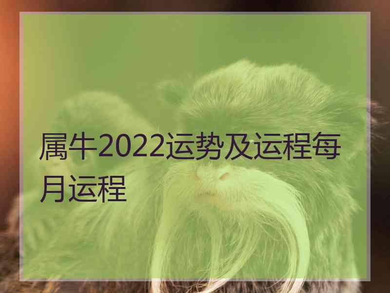 属牛2022运势及运程每月运程