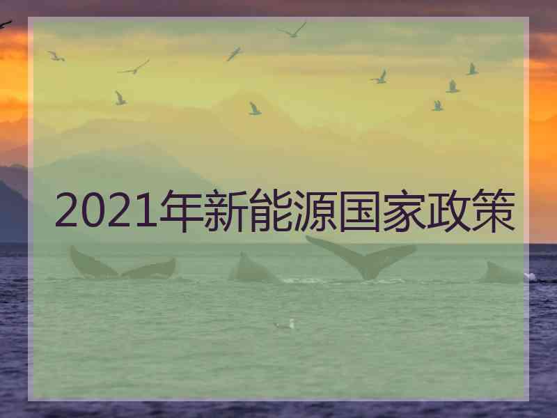 2021年新能源国家政策