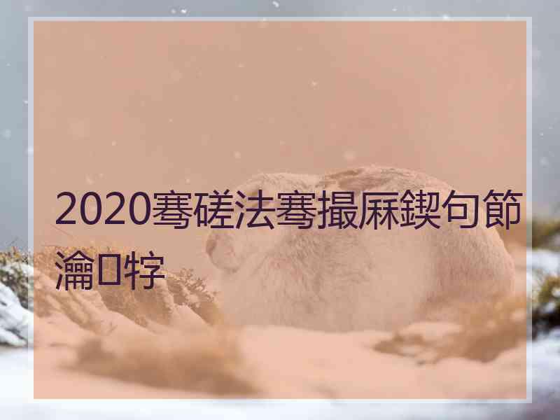 2020骞磋法骞撮厤鍥句節瀹牸