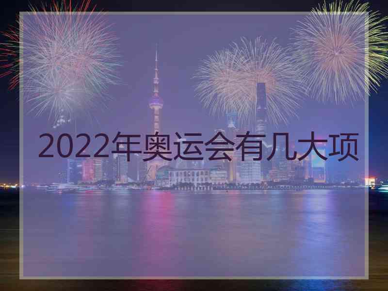 2022年奥运会有几大项