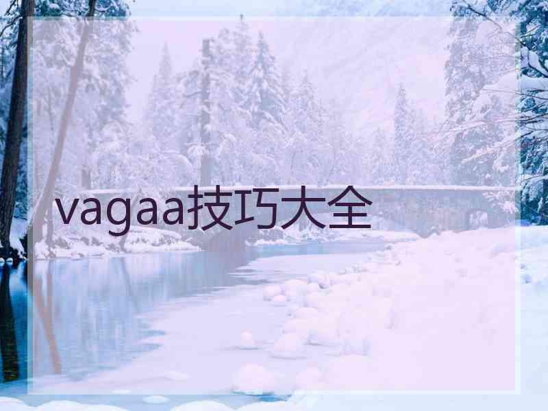 vagaa技巧大全