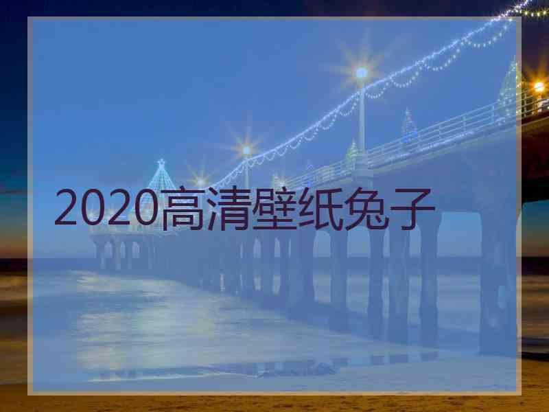 2020高清壁纸兔子