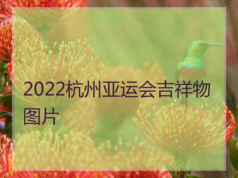 2022杭州亚运会吉祥物图片