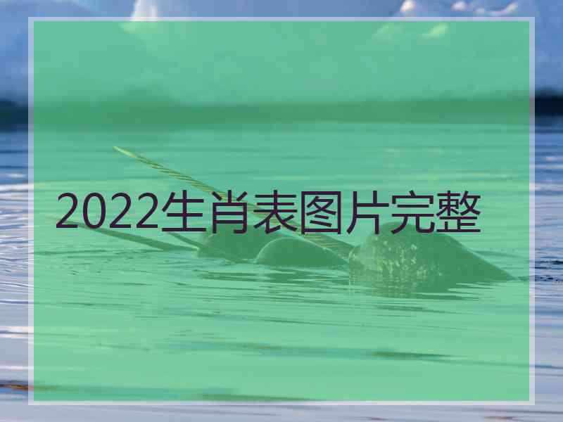 2022生肖表图片完整