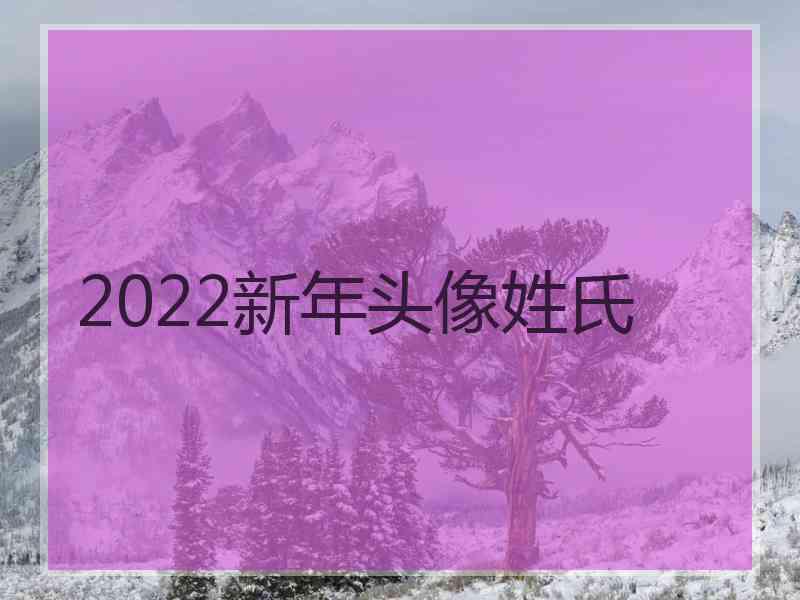 2022新年头像姓氏