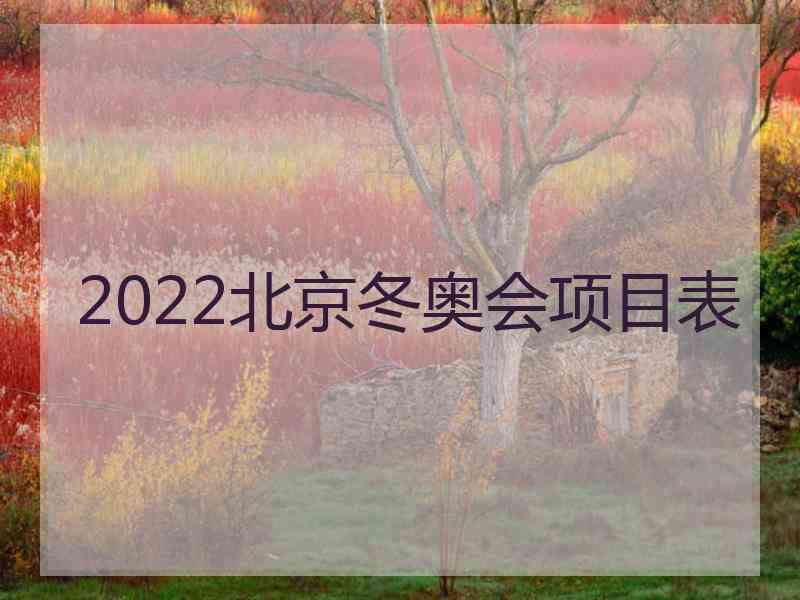 2022北京冬奥会项目表