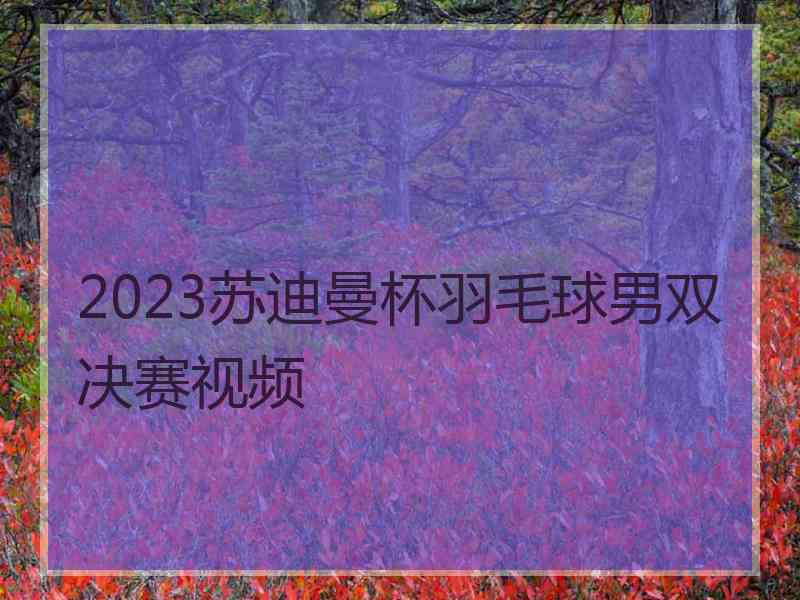 2023苏迪曼杯羽毛球男双决赛视频