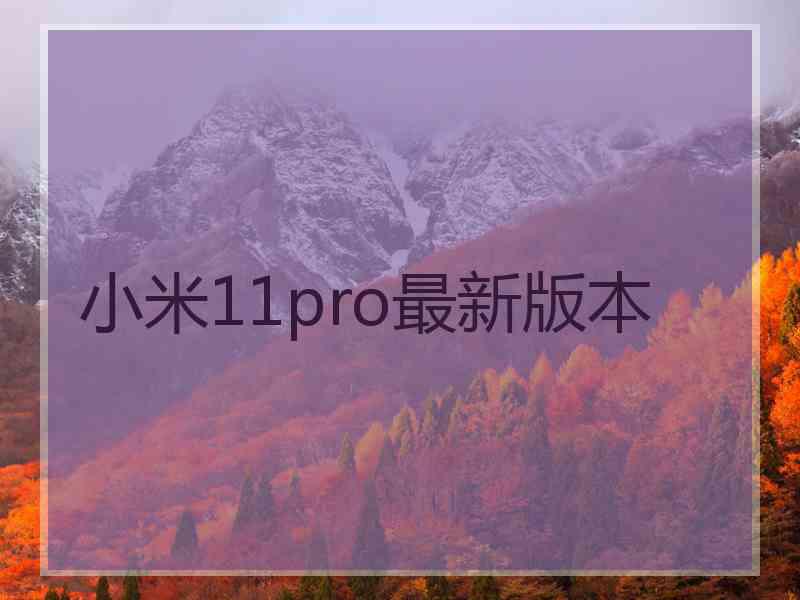 小米11pro最新版本