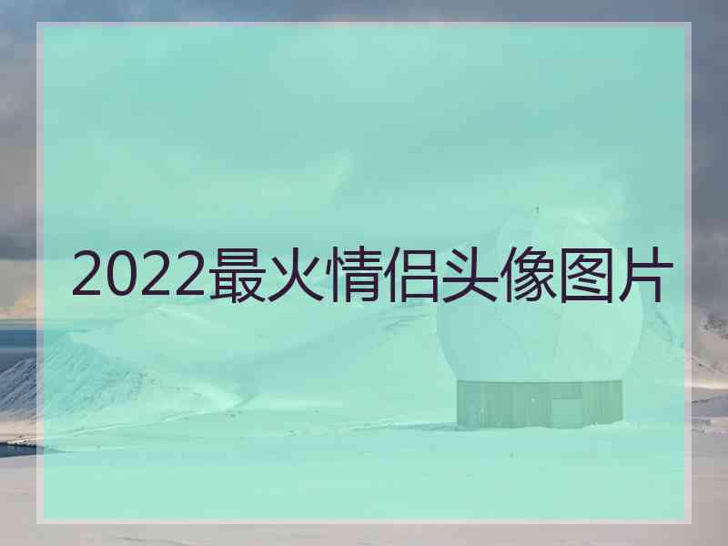 2022最火情侣头像图片