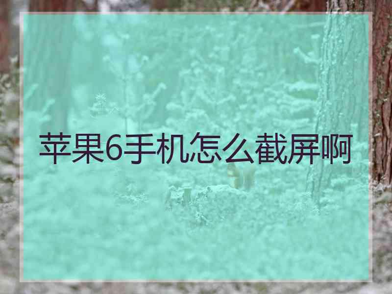 苹果6手机怎么截屏啊