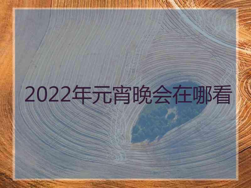 2022年元宵晚会在哪看