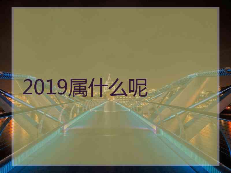 2019属什么呢