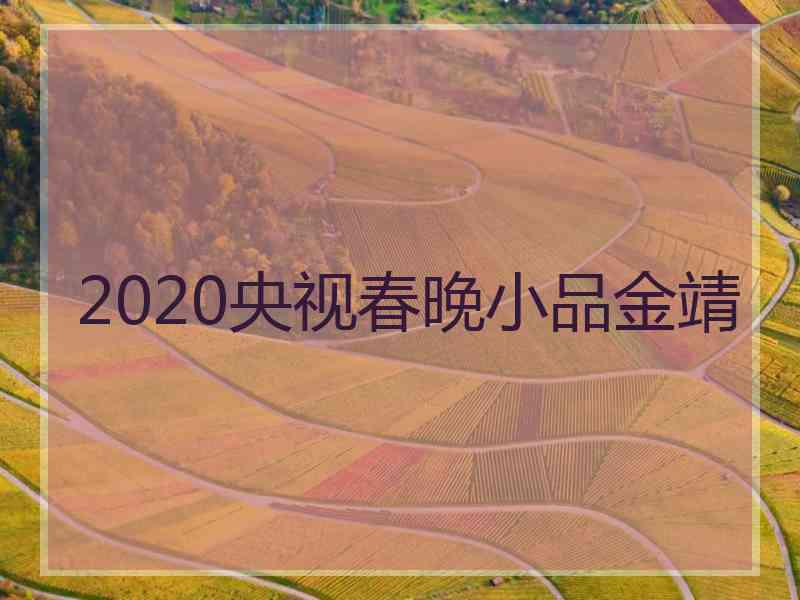 2020央视春晚小品金靖