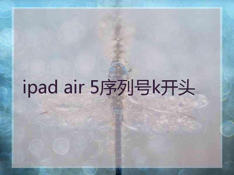 ipad air 5序列号k开头