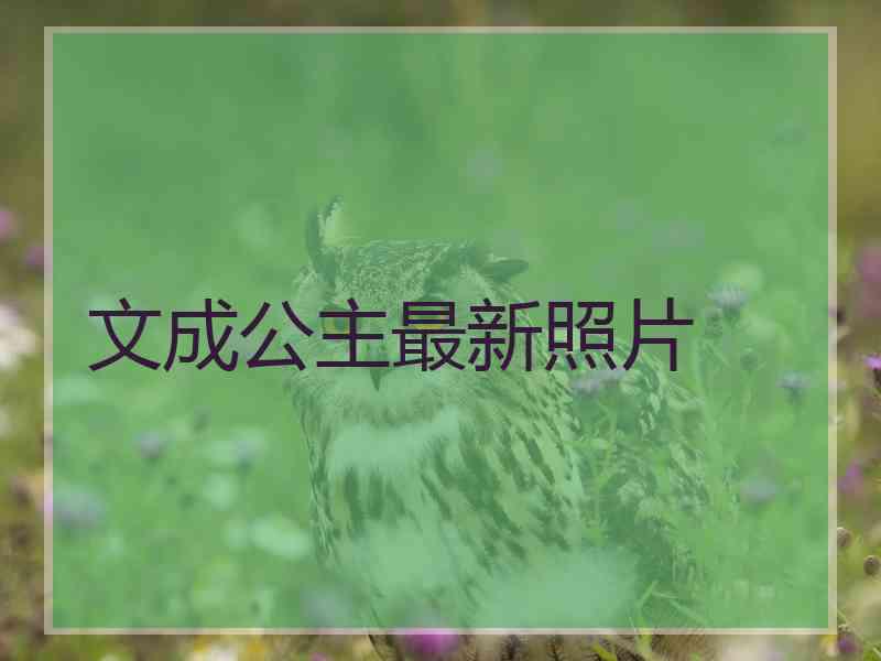 文成公主最新照片