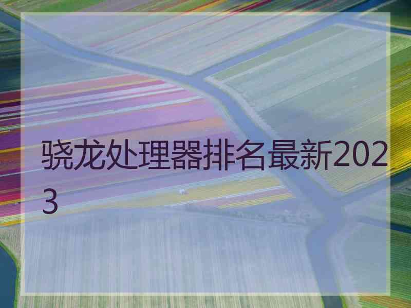 骁龙处理器排名最新2023