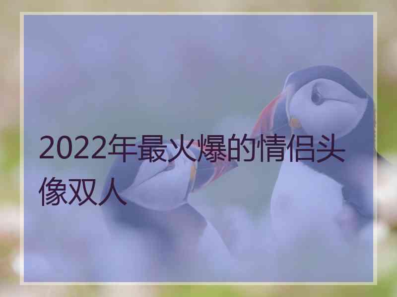 2022年最火爆的情侣头像双人