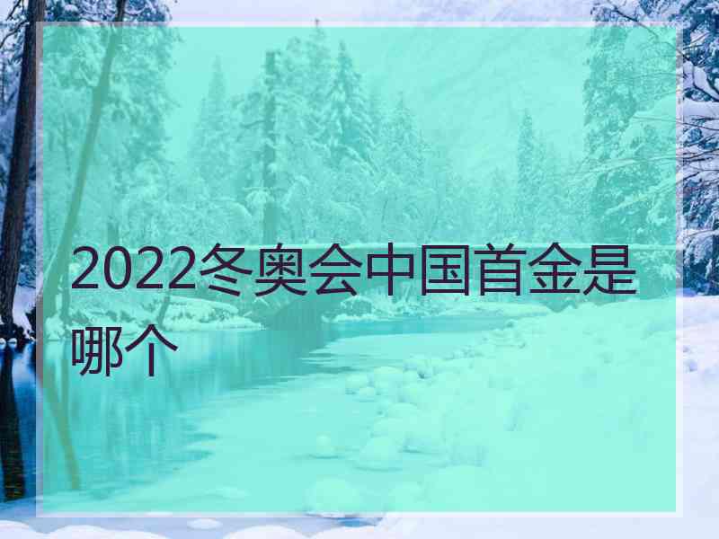 2022冬奥会中国首金是哪个