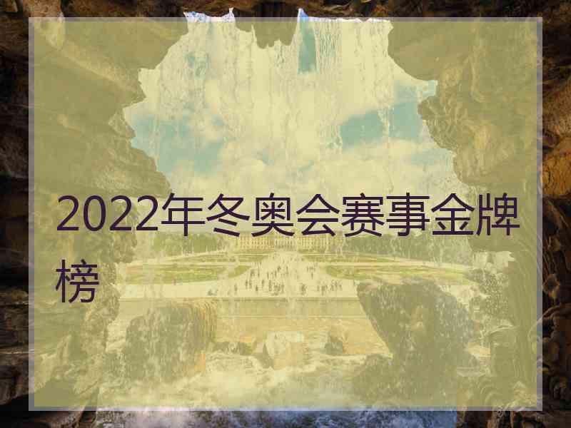 2022年冬奥会赛事金牌榜