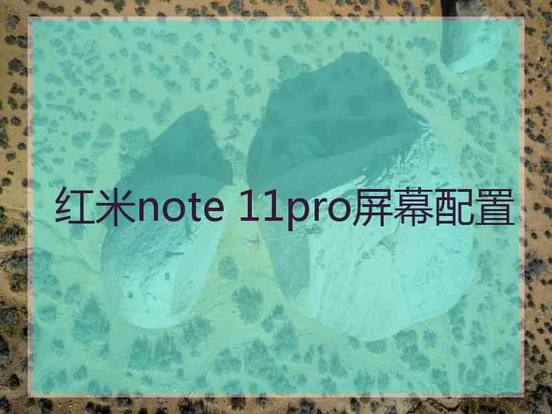 红米note 11pro屏幕配置