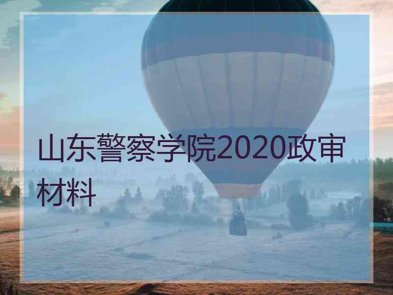 山东警察学院2020政审材料