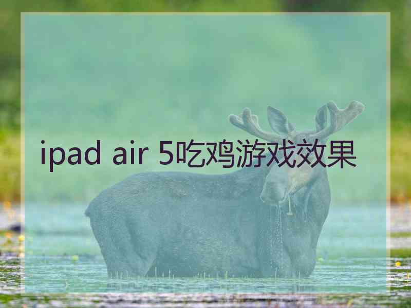 ipad air 5吃鸡游戏效果