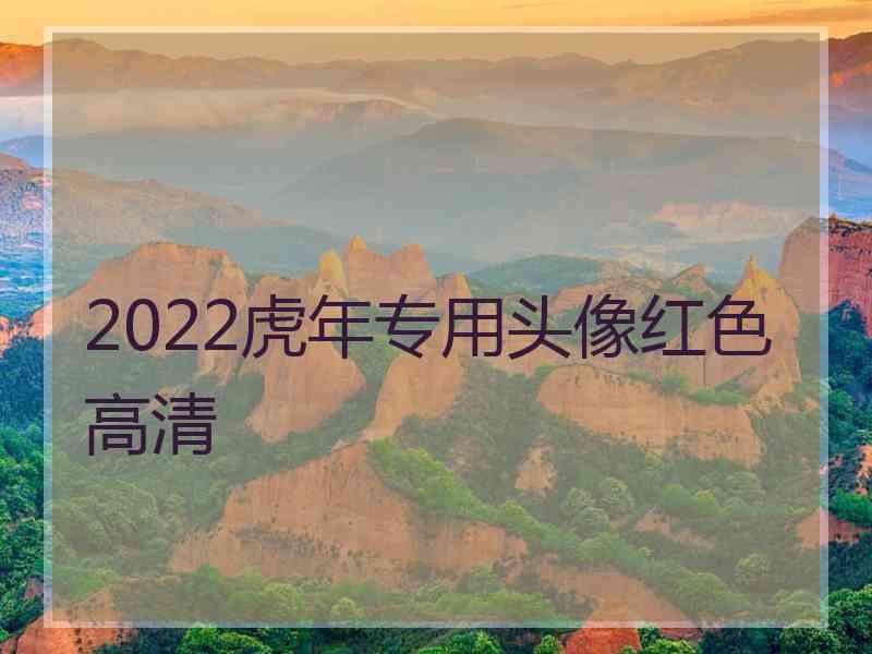 2022虎年专用头像红色高清