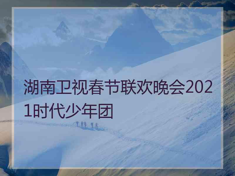 湖南卫视春节联欢晚会2021时代少年团