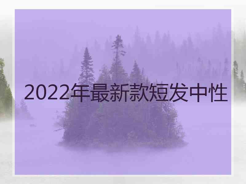 2022年最新款短发中性