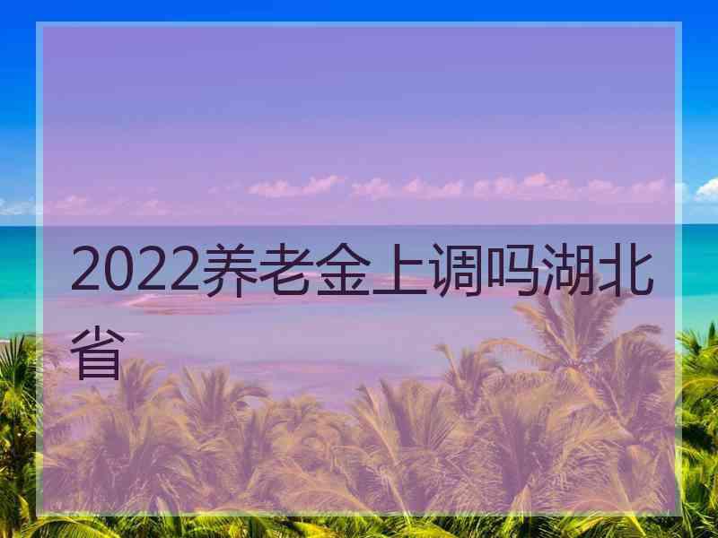 2022养老金上调吗湖北省