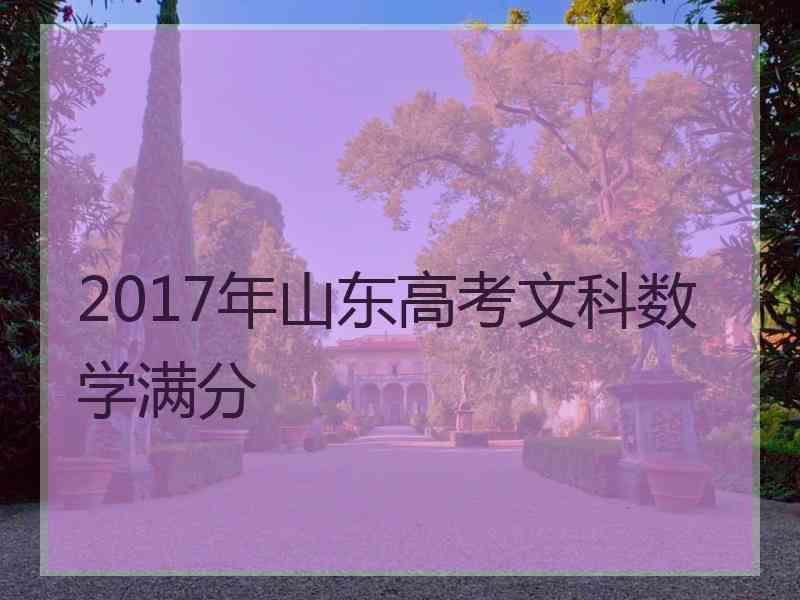 2017年山东高考文科数学满分