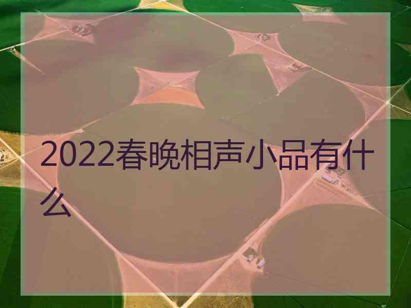 2022春晚相声小品有什么