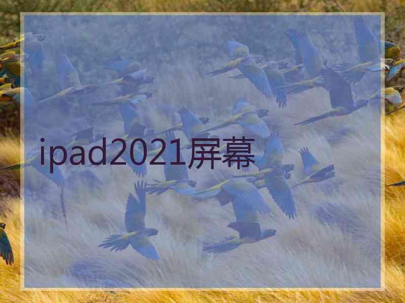 ipad2021屏幕