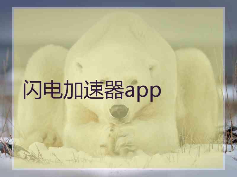 闪电加速器app