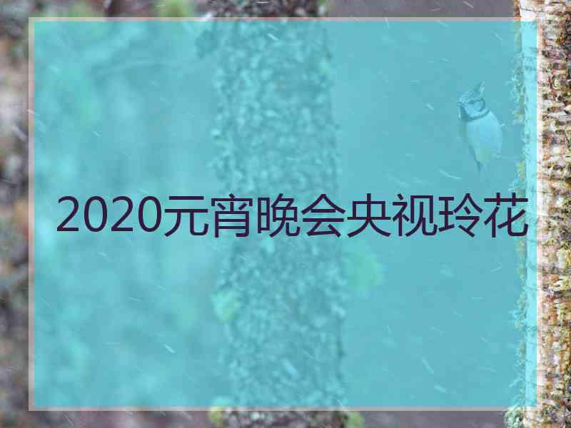 2020元宵晚会央视玲花